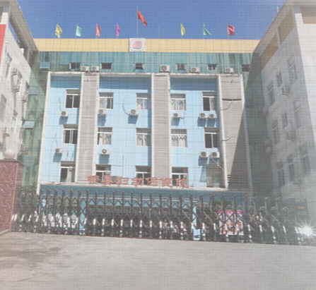 HQMS数据上报系统解决荣县妇幼保健院信息化建设的燃眉之急